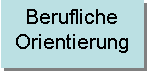 Textfeld: Berufliche
Orientierung