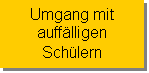 Textfeld: Umgang mit
auffälligen 
Schülern