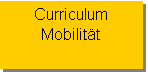 Textfeld: Curriculum 
Mobilität