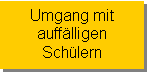 Textfeld: Umgang mit 
auffälligen
Schülern